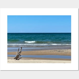 Driftwood on Beach Posters and Art